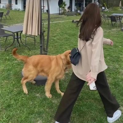 阿加莎与谋杀的真谛